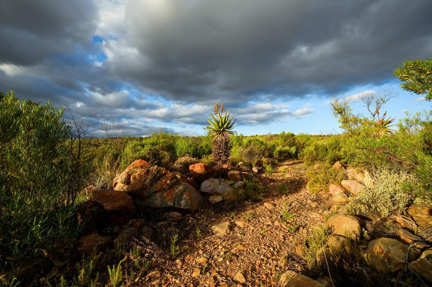 Le Petit Karoo Ranch Bed & Breakfast Oudtshoorn Exterior photo