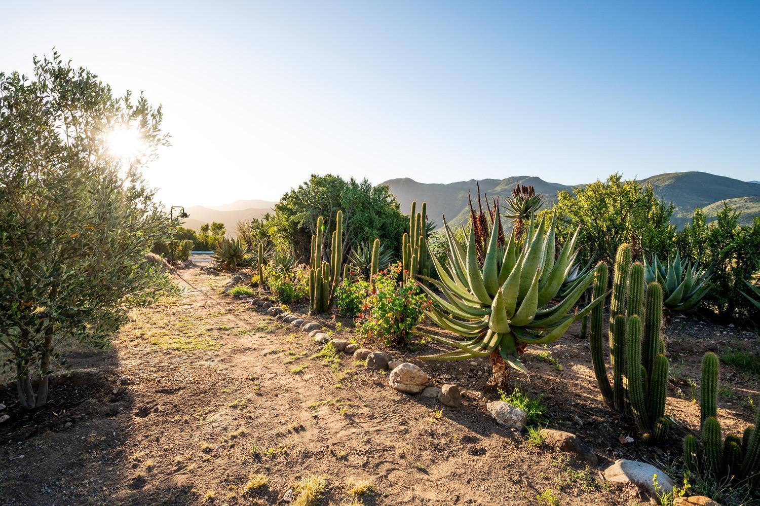 Le Petit Karoo Ranch Bed & Breakfast Oudtshoorn Exterior photo