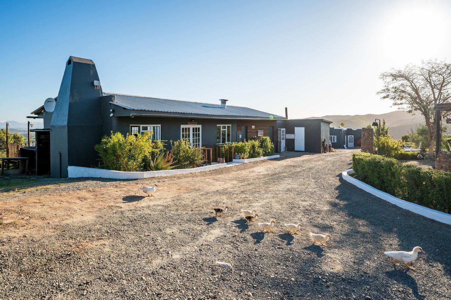 Le Petit Karoo Ranch Bed & Breakfast Oudtshoorn Exterior photo