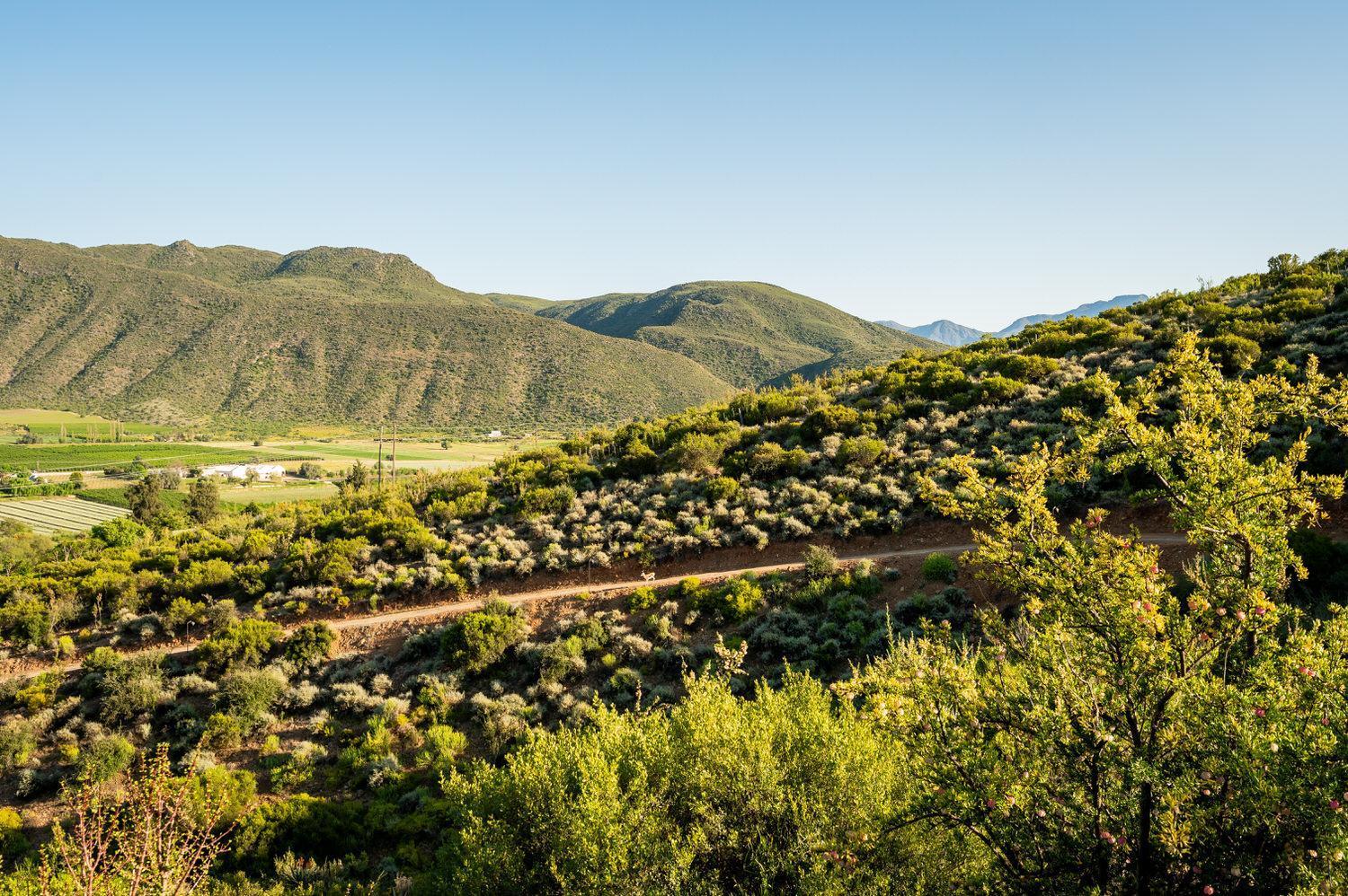 Le Petit Karoo Ranch Bed & Breakfast Oudtshoorn Exterior photo