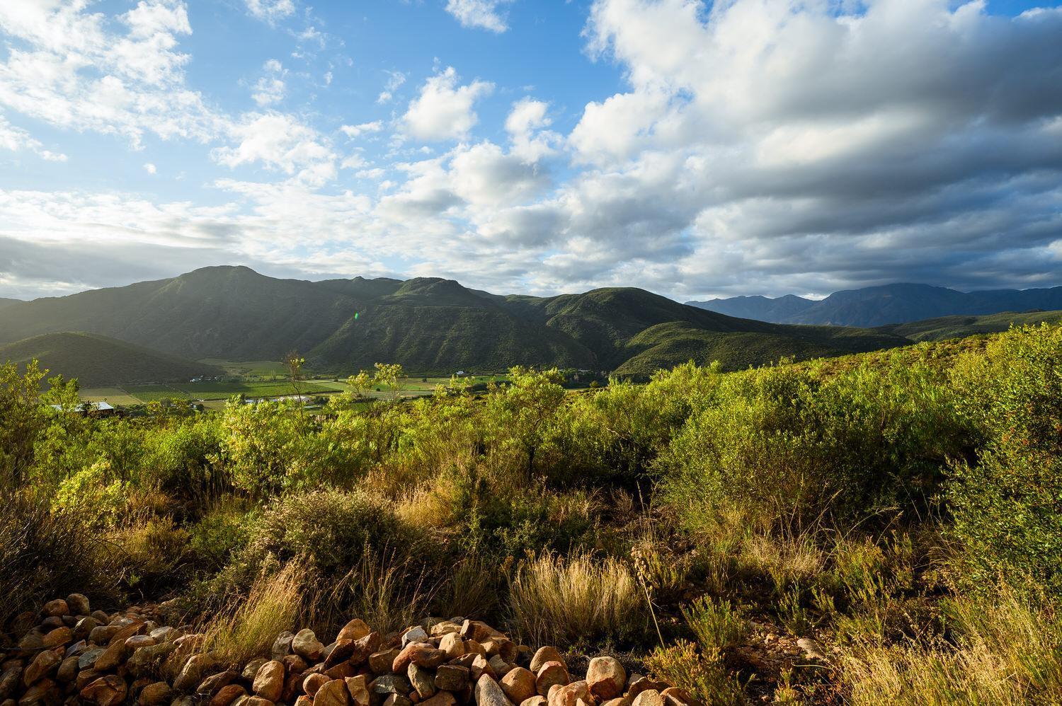 Le Petit Karoo Ranch Bed & Breakfast Oudtshoorn Exterior photo